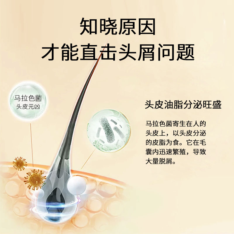韓芙雪柔順絲滑洗發水